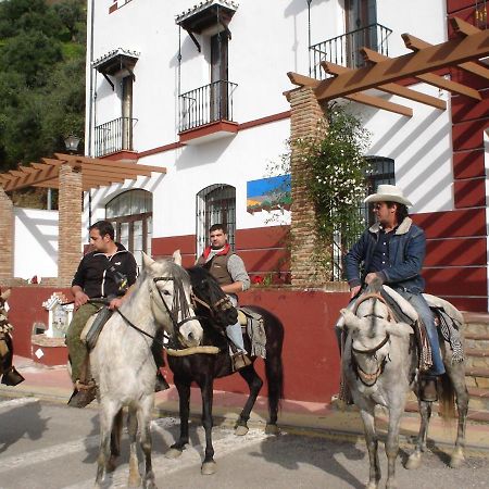 Apartamentos Rurales Mirador De Jubrique Екстериор снимка
